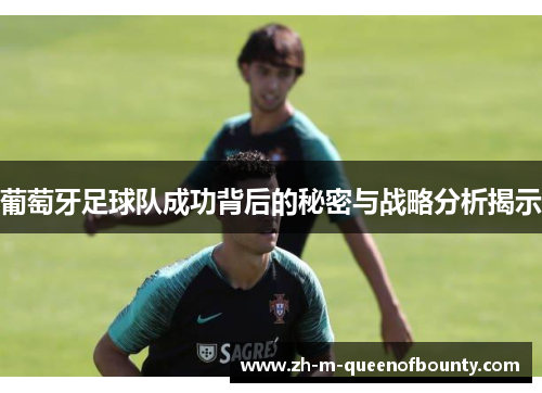 葡萄牙足球队成功背后的秘密与战略分析揭示