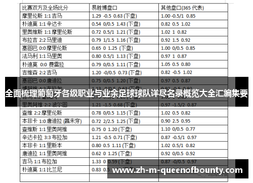 全面梳理葡萄牙各级职业与业余足球球队详尽名录概览大全汇编集要